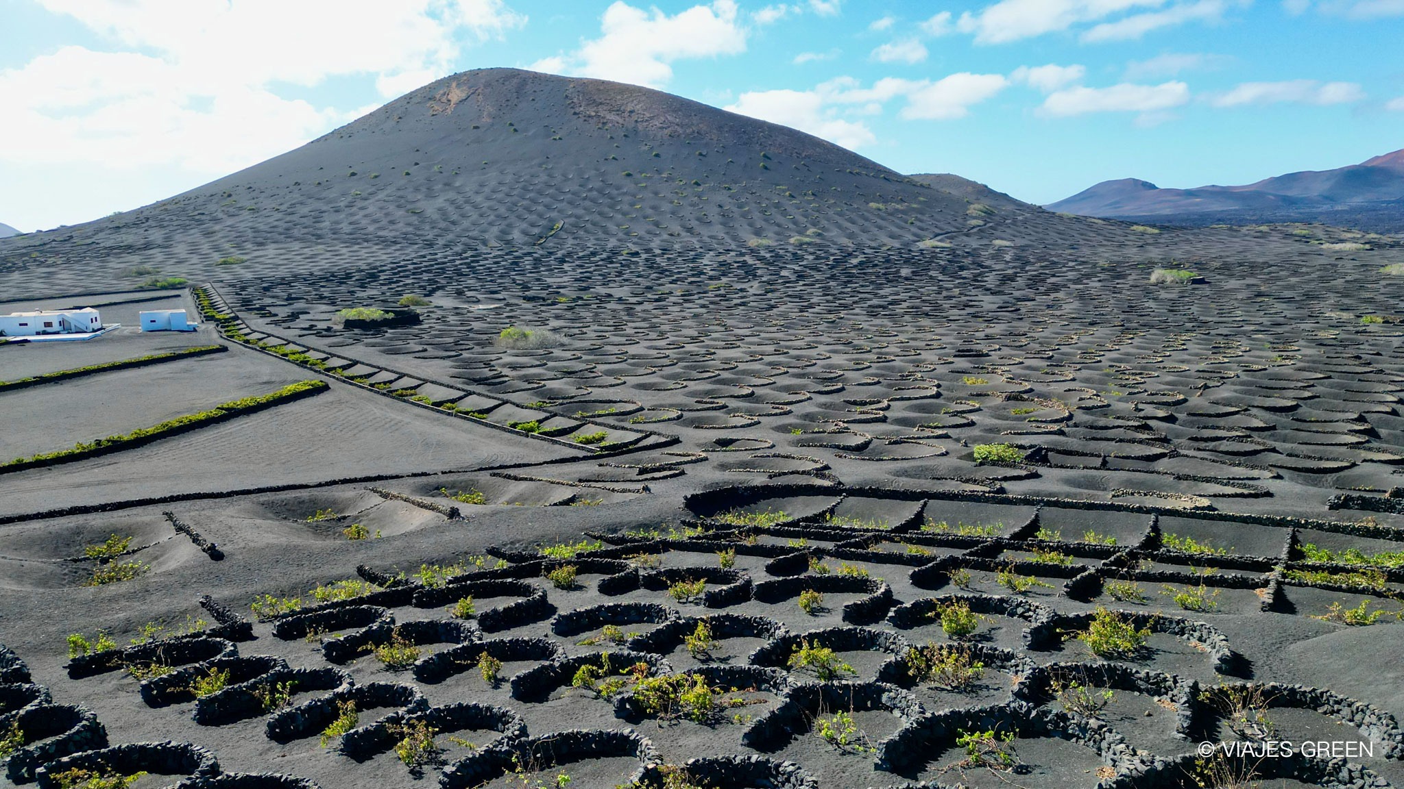 Que bodegas visitar en Lanzarote